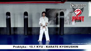 Wymagania egzaminacyjne dla dzieci do lat 14  Karate KYOKUSHIN  PRAKTYKA  Stopień 101 KYU [upl. by Wade]