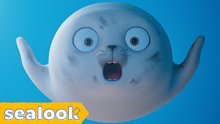 Baby Seal in Wonderland🎡 031  SEALOOK  EP107 [upl. by Ronym]