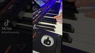 Aca Lukas  Dijabolik  Korg Pa4X  PA SET [upl. by Nahsez]