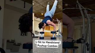 LSit to Handstand Pushups Calisthenics Workout Shorts [upl. by Ema527]