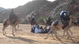 Tuaregs and their Camels [upl. by Caiaphas]