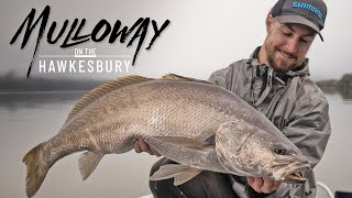 Chasing Metre Mulloway on the Hawkesbury River with Rhys Kennedy [upl. by Ellevart]