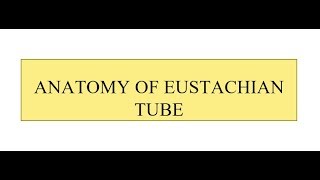 Anatomy of Eustachian Tube [upl. by Gianni]