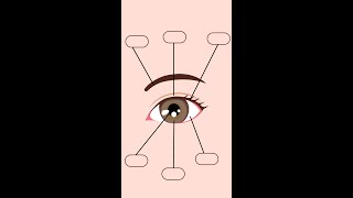 Parts of the Eye  External Anatomy of the Eye  Anatomy of the Outer Eye  BalyanakTV [upl. by Grace986]