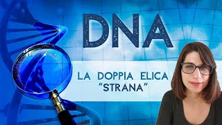 Il DNA che cosè come è fatto e a cosa serve [upl. by Ahcarb]