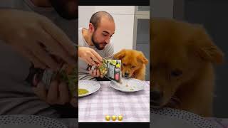 Sorry dog 🐶 petcommunity funny funnydog petloversunite pets duet funnypet funnyanimal funny [upl. by Alexia]