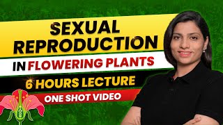 Sexual Reproduction in Flowering Plants Class 12 One Shot All Theory amp PYQs NEET 2024 Ritu Rattewal [upl. by Bendick42]