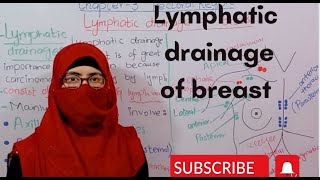 Lymphatic drainage of breast  lymph nodes lymph vessels  pectoral region anatomy  bd churasia [upl. by Anaidirib871]