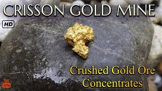 Crisson Gold Mine Panning Crushed Gold Ore Huge Nugget [upl. by Adnilem]