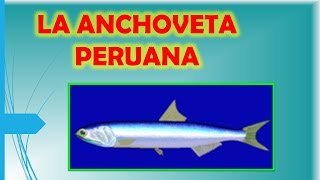 LA ANCHOVETA PERUANA  PRESENTACION POWERPOINT [upl. by Tahmosh]