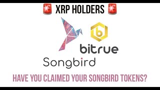 XRP holders now able to access free Songbird SGB tokens from Flare airdrop [upl. by Shugart]