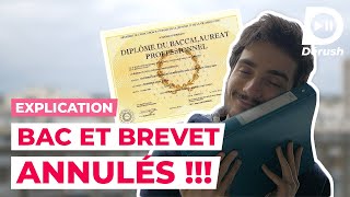 LE BAC ET LE BREVET ANNULÉS 😱 JE T’EXPLIQUE TOUT [upl. by Frannie]