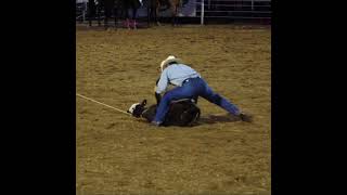 calf roping and tying rodeo cowboy shorts [upl. by Alcinia527]