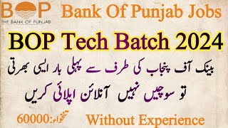 Bank of Punjab Jobs Online apply 2024BOP Tech Batch jobs 2024Government Bank jobs 2024 [upl. by Asilanna746]