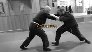 How does a ninja do Tomoe Nage [upl. by Aicertap]