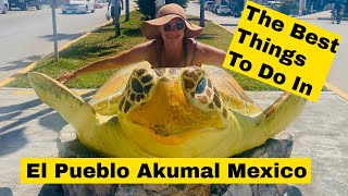 The Best Things To Do In El Pueblo Akumal Mexico [upl. by Gelasius]