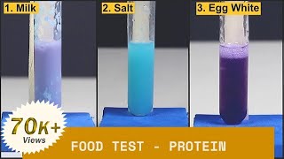 Food Test  Protein  ThinkTac [upl. by Mezoff930]