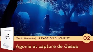 Agonie et capture de Jésus – LA PASSION DU CHRIST  Visions de Maria Valtorta [upl. by Estelle]