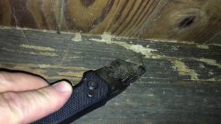 How to Know Termite Damage In Your House When You See It [upl. by Gisela]