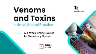 Venoms and Toxins in Small Animal Practice  Online Course for Vet NursesTechnicians [upl. by Areivax]