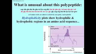 287 Hydropathy Predicts Hydrophobic Domains and Membrane Proteins [upl. by Lladnik]