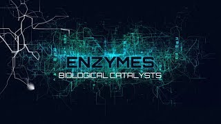 GCSE Chemistry 19 Enzymes Biological Catalysts [upl. by Indihar]