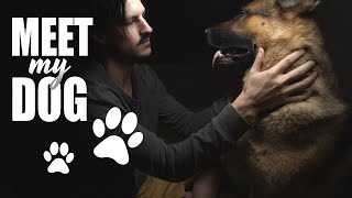 ASMR 🐕 Meet My Dog  Petting My Pup  German Shepherd [upl. by Morice]