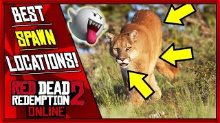 NEW Red Dead 2 Online Cougar Spawn Locations and Respawn Method [upl. by Nnylasor143]