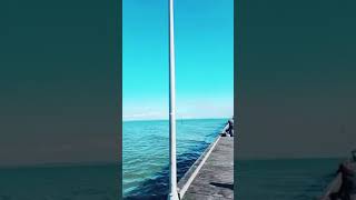 mordialloc Beach ccto shortvideo fypspotted trendingshorts fypシ viral youtubeshort [upl. by Gaeta895]