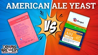 American Ale Yeast Showdown Angel Yeast A01 vs Fermentis US05  DrHans Brewery [upl. by Kalil]