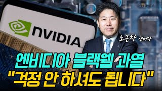 엔비디아 블랙웰 과열quot걱정 안 하셔도 됩니다quot 노근창 센터장 전화연결  Market Signal 20241121 [upl. by Haukom]