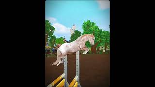 who is she horses sso appaloosa starstableonline equestrians [upl. by Gordan631]