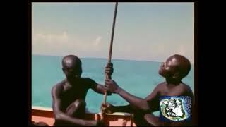 2018  Indian Ocean  North Sentinel Island  The Most Isolated Stone Age Tribe in the World  2311 [upl. by Infield]