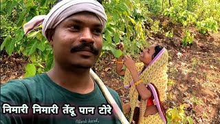 Nimari nimari Tendu Paan Tore । vlog  भोंगरा पतरा जंगल में मजा आ गया [upl. by Elamrej]