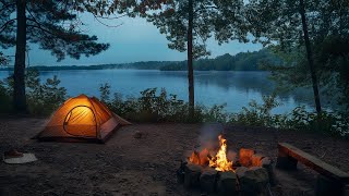 Cozy Camping by the Lake Campfire and Tent in the Forest at Night for Relaxation [upl. by Dranoel201]