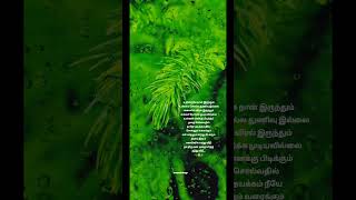 Unnai Enakku Pidikkum Song status 🥰Malai Nindra Pinbum Song WhatsApp status💕 MusicDrugspf3kb [upl. by Schwerin738]