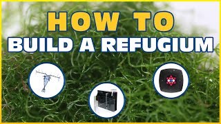 How to Set Up a Refugium Harvesting Macroalgae To Control Nitrate and Phosphate [upl. by Annoval]