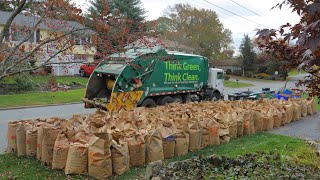 Garbage Truck VS 300 Leaf Bags [upl. by Westley]