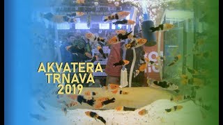 Akvatera Trnava 2019  Vystava Akvaristiky a Teraristiky na Slovensku  Burza Akva amp Teraristiky [upl. by Daile]