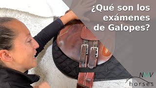 🐴¿Qué son los exámenes de GALOPES🐴 [upl. by Rech]