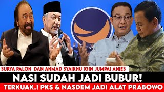 NASI SUDAH JADI BUBUR SURYA PALOH NGAMUK PARAH PKS DAN NASDEM DI MANFAATKAN PRABOWO [upl. by Goodrow]