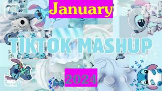 tiktok mashup 2024 January clean💕💕 [upl. by Farver]