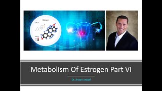 Metabolism Of Estrogen Part VI Foods That Lower Estrogen [upl. by Fong398]