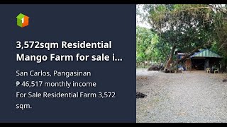 3572sqm Residential Mango Farm for sale in San Carlos City Pangasinan [upl. by Raychel]