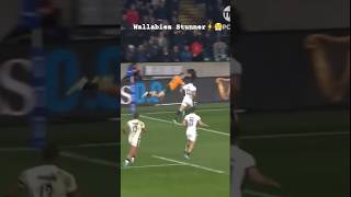 Wallabies Stun England ⚡😤 rugby highlights shortsfeed reels superrugby australia [upl. by Birchard393]