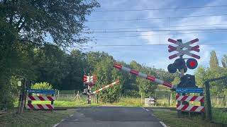 Spoorwegovergang HouthemSint Gerlach Valkenburg  Dutch Railroad Crossing [upl. by Enitsirt]