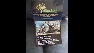 3 The Olive Tree  Holy Yahushuas Name Ezekielstemple [upl. by Eikcid]