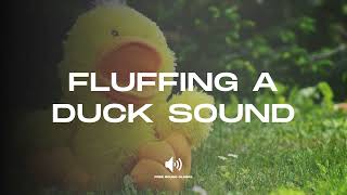 Fluffing a Duck Sound  Sound Effect No copyright [upl. by Einuj]