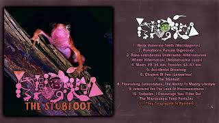 Phyllomedusa  The Stubfoot Full Album 2022  Frognoise  Noisegrind  Ambient [upl. by Ester]