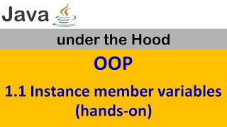 11 Instance member variables handson [upl. by Elik]